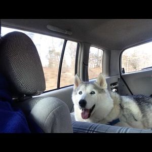 Meet your Posher, Christopher